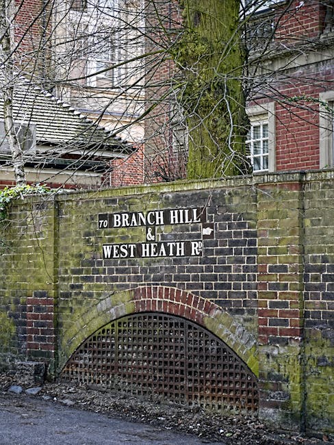 A brick archway with a black metal grille at its base located beneath a weathered brick wall, featuring a street sign mounted on the wall that reads 'to BRANCH HILL & WEST HEATH RD' in white lettering on black background. Behind the wall, a large tree with moss-covered bark and leafless branches extends upward, with adjacent residential buildings made of red brick and white window frames visible in the background. The scene is outdoors on a street that may be part of a house removal or moving service area, with natural light illuminating the surroundings. The image is relevant to house relocation processes, especially in hilly or steep road areas like Hampstead, where access challenges are common for removal vehicles. Man With a Van Hampstead occasionally covers such street contexts for their removals service category.
