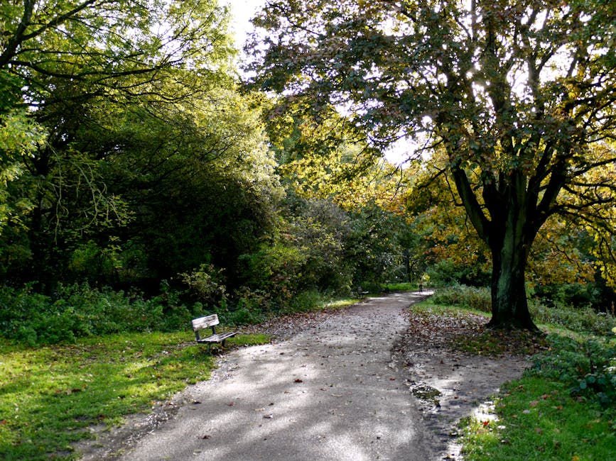 A serene woodland pathway in Hampstead Heath with tall trees arching overhead, their leaves creating a dappled sunlight effect on the ground. On the left side of the gravel path, there is a weathered wooden park bench facing the greenery, while on the right, a large mature tree with sprawling branches dominates the scene. The path curves gently into the distance, where a person can be seen walking away. This natural setting provides a calm environment often used for outdoor walks. Secluded from urban traffic, the area is suitable for quiet moments and could serve as a peaceful backdrop for outdoor activities related to home relocation or moving logistics, such as planning routes or taking a break during furniture transport or packing and moving activities, which Man With a Van Hampstead often coordinates in local Hampstead residential areas.